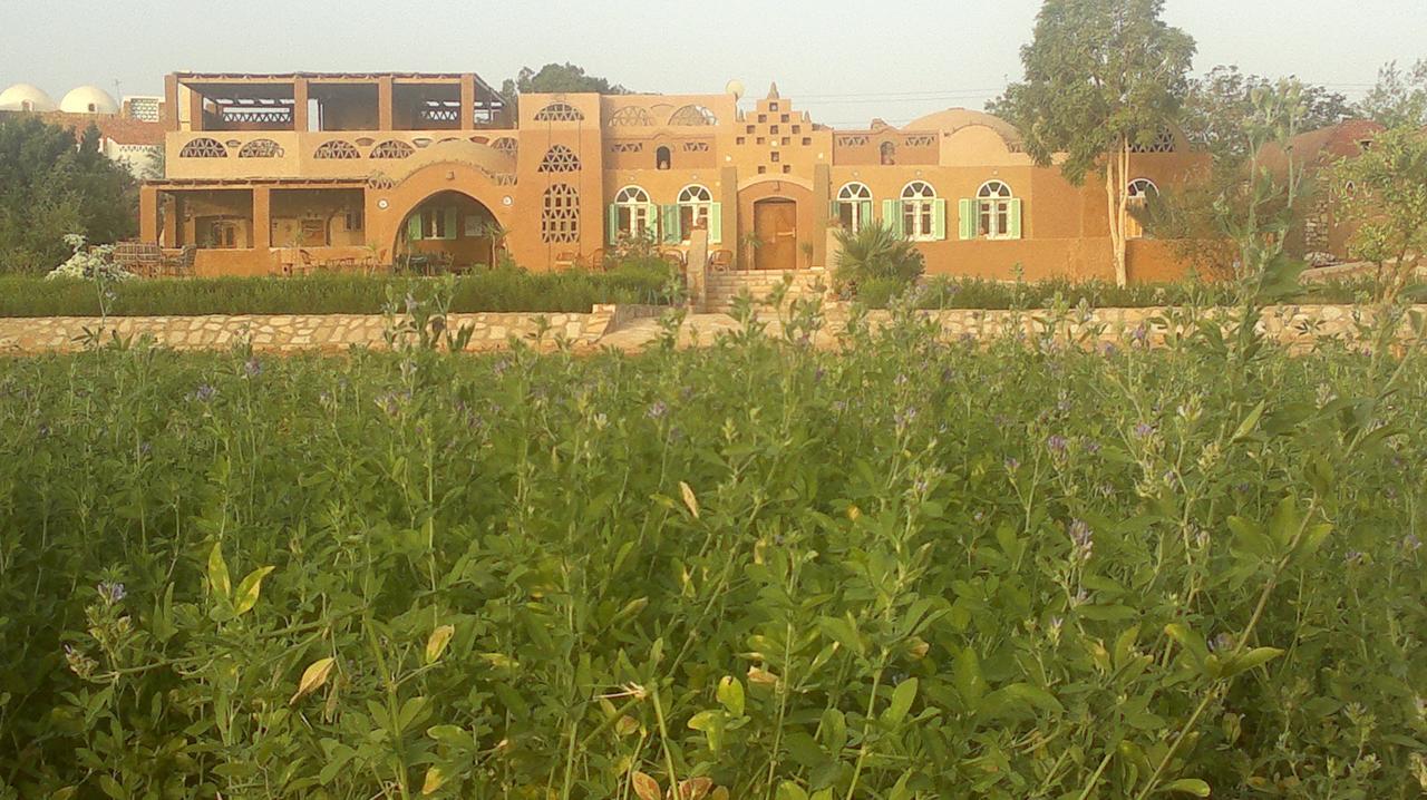 Eskaleh Eco-Lodge Abu Simbel Exterior foto